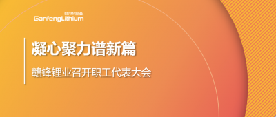 凝心聚力谱新篇 老哥俱乐部锂业第五届职工代表大会顺利召开