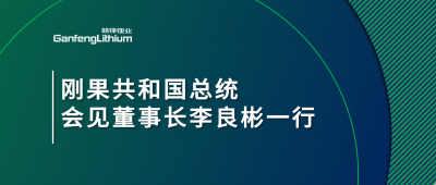 刚果共和国总统会见老哥俱乐部锂业董事长李良彬一行